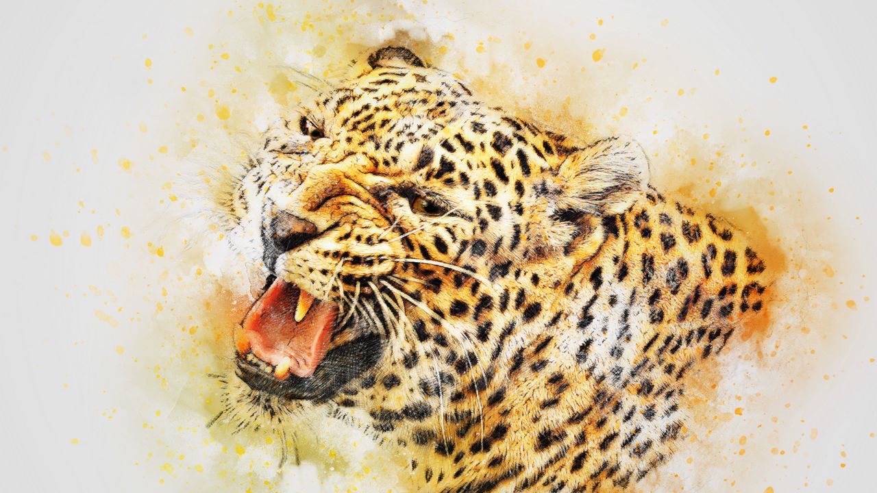 Wallpaper leopard, art, predator