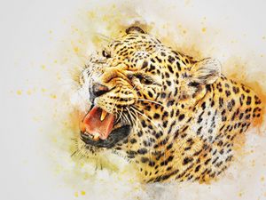 Preview wallpaper leopard, art, predator