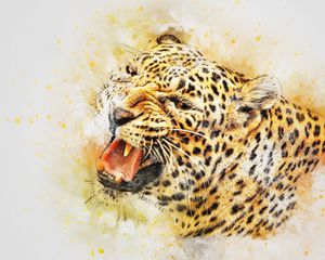 Preview wallpaper leopard, art, predator