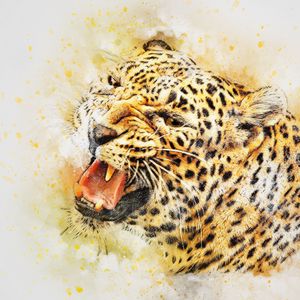 Preview wallpaper leopard, art, predator