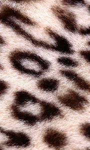 Preview wallpaper leopard, background, texture, spotted