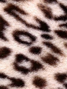 Preview wallpaper leopard, background, texture, spotted