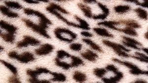 Preview wallpaper leopard, background, texture, spotted