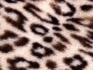 Preview wallpaper leopard, background, texture, spotted