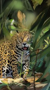 Preview wallpaper leopard, big cat, predator, art