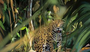 Preview wallpaper leopard, big cat, predator, art