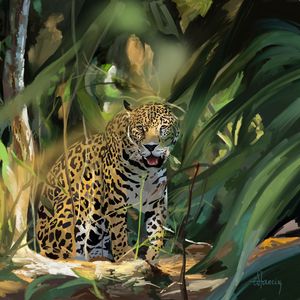 Preview wallpaper leopard, big cat, predator, art