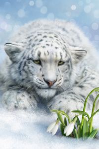 Preview wallpaper leopard, big cat, white, flowers, art