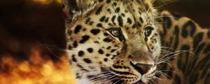 Preview wallpaper leopard, face, spotted, big cat, predator