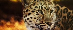 Preview wallpaper leopard, face, spotted, big cat, predator