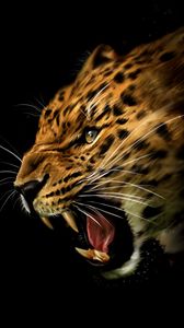 Preview wallpaper leopard, grin, aggression, art
