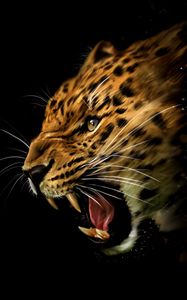 Preview wallpaper leopard, grin, aggression, art