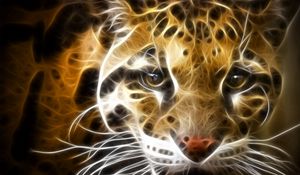 Preview wallpaper leopard, light, face, line