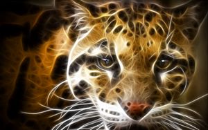 Preview wallpaper leopard, light, face, line