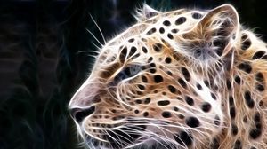 Preview wallpaper leopard, light, lines, glow