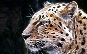 Preview wallpaper leopard, light, lines, glow