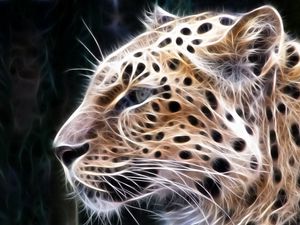 Preview wallpaper leopard, light, lines, glow