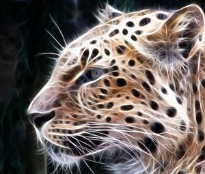 Preview wallpaper leopard, light, lines, glow