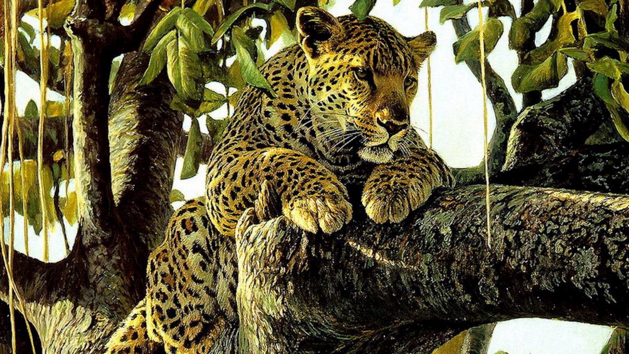 Wallpaper leopard, predator, drawing, art