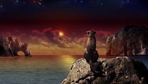 Preview wallpaper leopard, sitting, sunset, landscape, beach