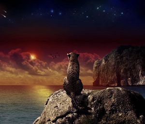 Preview wallpaper leopard, sitting, sunset, landscape, beach