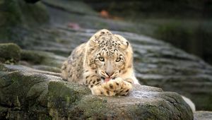 Preview wallpaper leopard, stones, lie down, rest