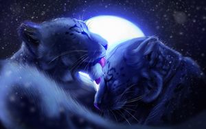 Preview wallpaper leopards, moon, tenderness, care
