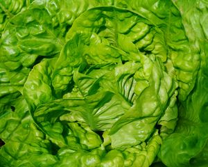Preview wallpaper lettuce, leaves, vegetable, close-up
