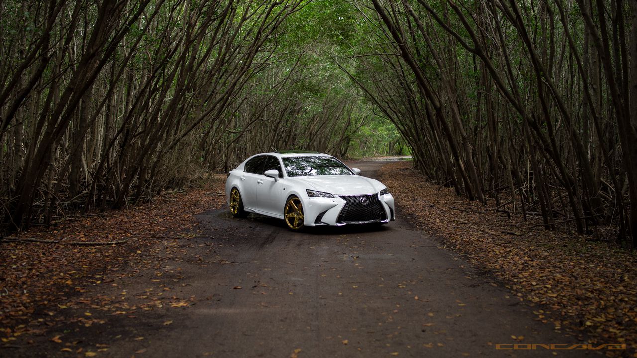 Wallpaper lexus gs350, lexus, car, white, road