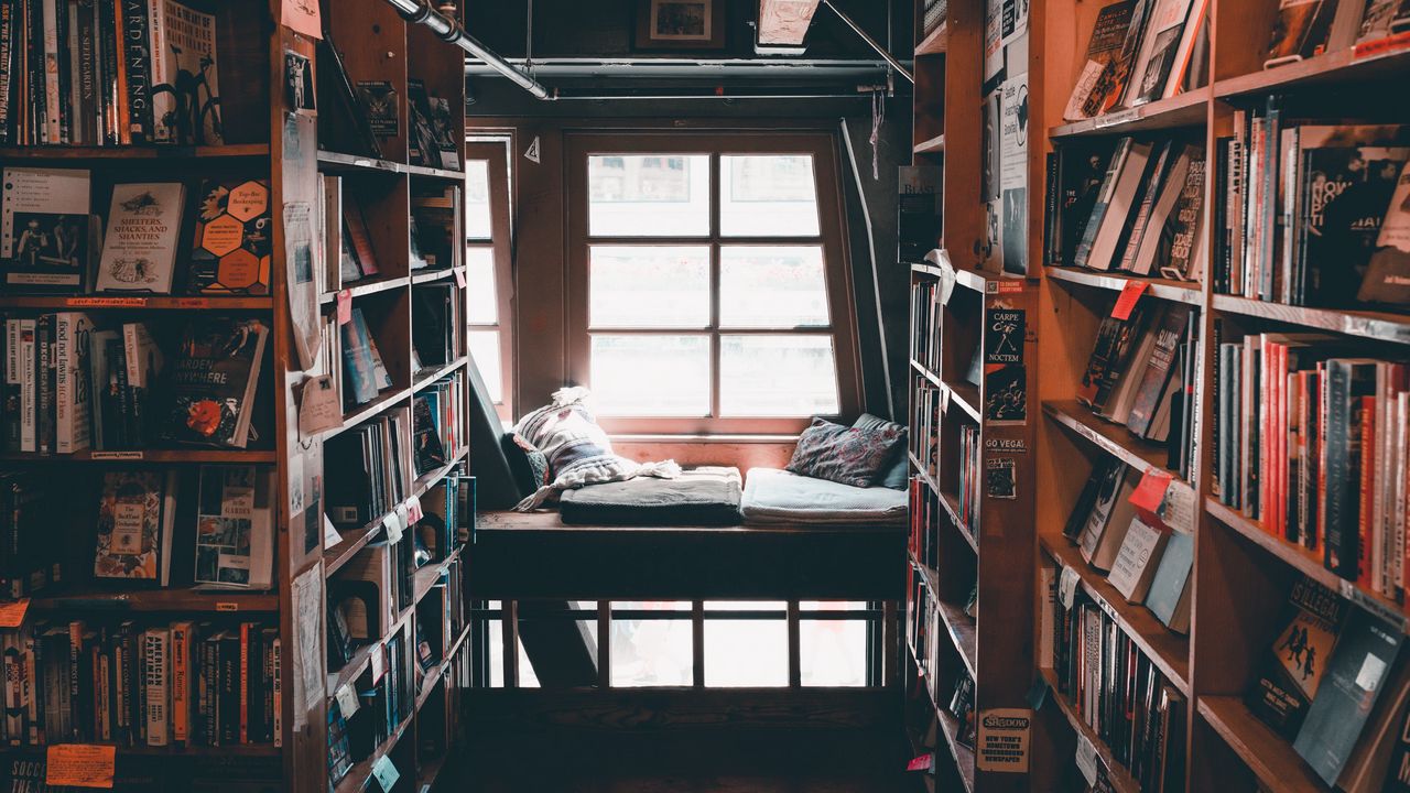 Wallpaper library, books, reading, comfort, shelves