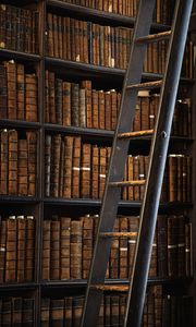 Preview wallpaper library, books, shelving, ladder
