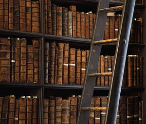 Preview wallpaper library, books, shelving, ladder