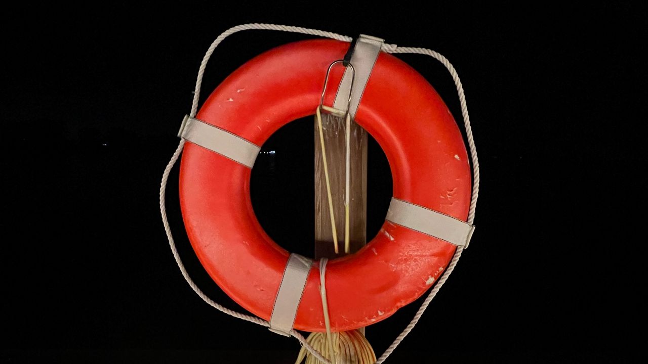 Wallpaper lifebuoy, circle, rope, tree, pier