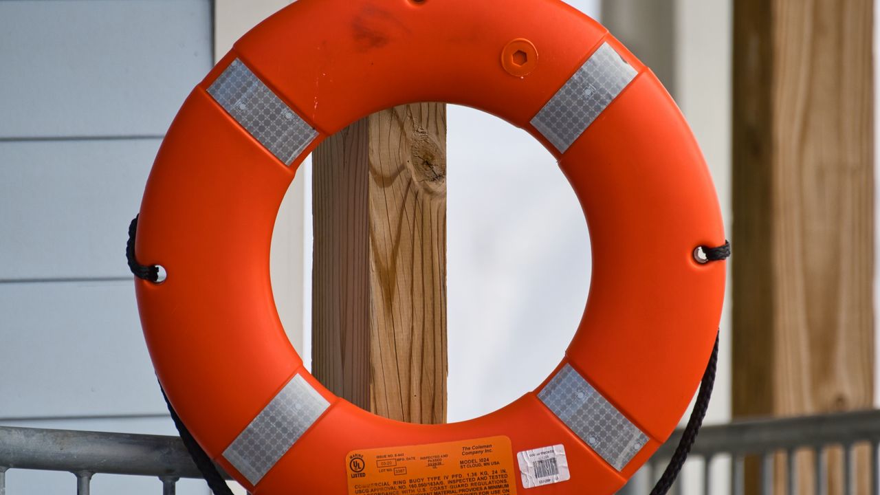 Wallpaper lifebuoy, circle, tree, orange