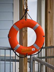 Preview wallpaper lifebuoy, circle, tree, orange