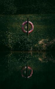 Preview wallpaper lifebuoy, grass, river, reflection, water, lake