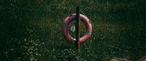 Preview wallpaper lifebuoy, grass, river, reflection, water, lake