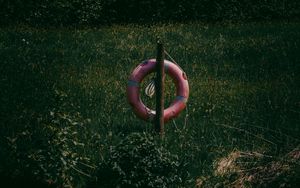 Preview wallpaper lifebuoy, grass, river, reflection, water, lake