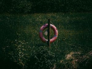 Preview wallpaper lifebuoy, grass, river, reflection, water, lake