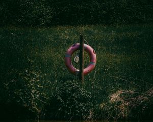 Preview wallpaper lifebuoy, grass, river, reflection, water, lake