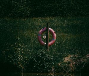 Preview wallpaper lifebuoy, grass, river, reflection, water, lake