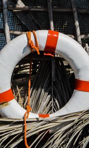 Preview wallpaper lifebuoy, reeds, equipment