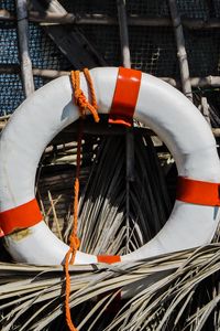 Preview wallpaper lifebuoy, reeds, equipment