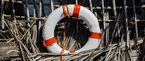 Preview wallpaper lifebuoy, reeds, equipment