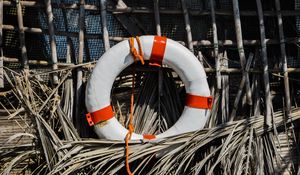 Preview wallpaper lifebuoy, reeds, equipment