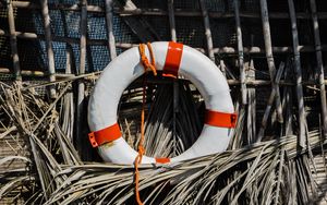 Preview wallpaper lifebuoy, reeds, equipment