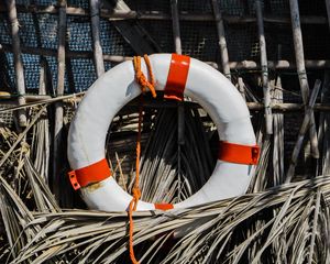 Preview wallpaper lifebuoy, reeds, equipment