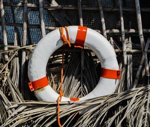 Preview wallpaper lifebuoy, reeds, equipment