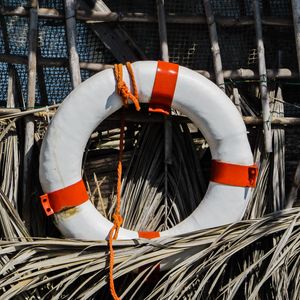 Preview wallpaper lifebuoy, reeds, equipment