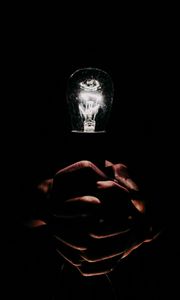 Preview wallpaper light bulb, hands, fingers, light, electric, dark